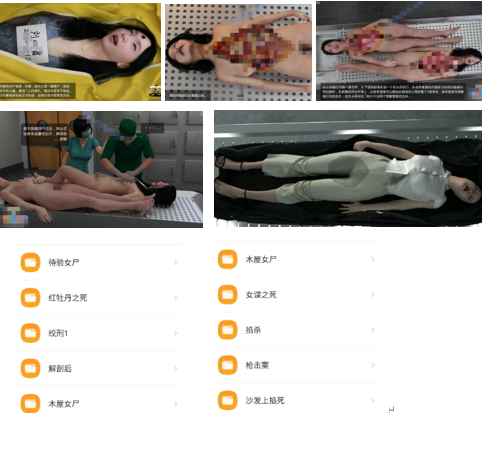 ASMR主播绮梦重口解剖系列：沉浸式死亡扮演音效全解析 [367p/636mb]