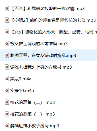 南晚姐姐ASMR剧情音声11A:沉浸式助眠剧情音声【中文音声,11A,3.2GB】