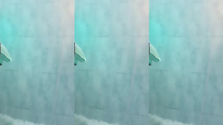 女主播私人定制超长福利动态